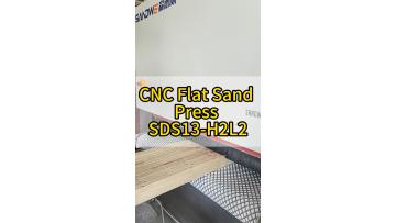 SDS13-H2L2_primer_paint_sanding.mp4