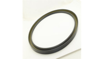 CB400-320SAONOO motor shaft oil seal 300*340*10 with AOFS type1