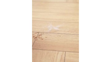 The family's hard surface Cleaners