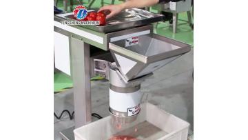 TS-S68 Food Crushers