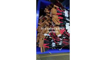 BMS wire harness