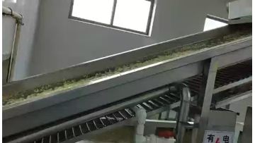 garlic flake processing