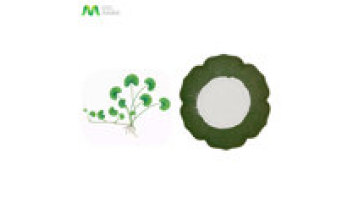 More than 10 Years Manufacturer Supply Guto Kola Extract Powder Madecassoside Powder 10%- 90%1