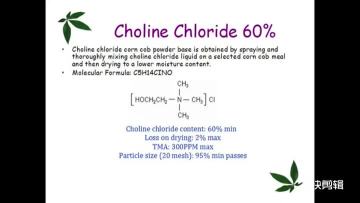 choline chloride 60%
