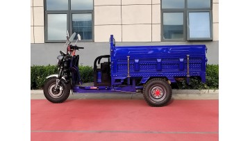 Five-Lamp Blue Big G Electric Tricycle