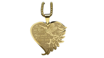 Aesthetic Hummingbird Wing Heart Necklace Stainless Steel Jewelry NZZZ545S021