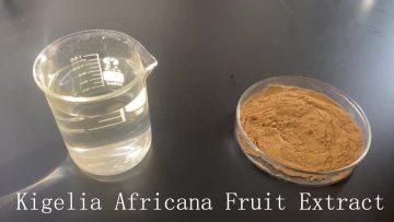 Kigelia Africana Fruit Extract
