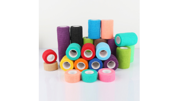 pet bandage