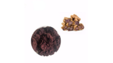 Youth Wholesale Organic Kaempferia Parviflora Black Ginger Extract Powder1
