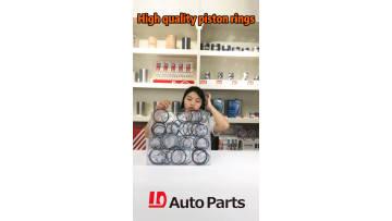 1D Brand Piston ring,Piston ring Set