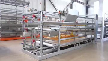 Auto Egg Collection Broiler Chicken Cage System