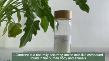 Sports Drink Ingredients Supplement Pure L-Carnitine Powder
