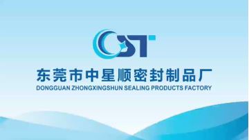 Dongguan Zhongxingshun Sealing Products Factory