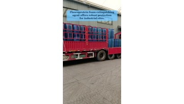 Video 91