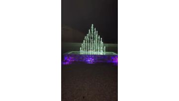 USA-peacock tail.MP4