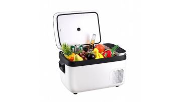 good car fridge10