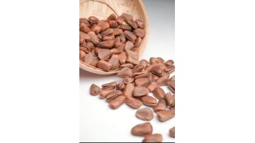 280g Organic Open Pine Nut