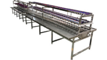 Marine sorting conveyor