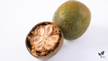 Monkfruit Extract Powder