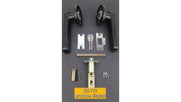 Smart handle door lock DH50-ZMY