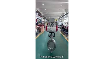 Flange End Wafer Type Butterfly Valve