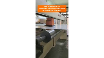 Video 2