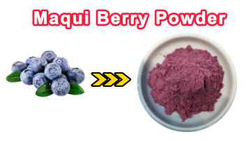 Maqui Berry Powder