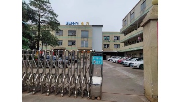 SENNY GENERAL VIEW