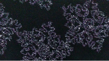 2021 Hot Two-Color Minimalist Embroidery Velvet Sequins For Evening Dress fabric1