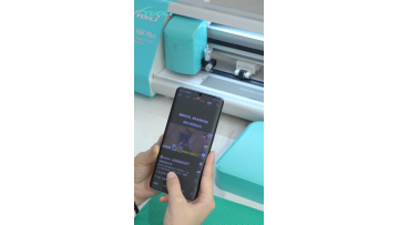 UV privacy curing film