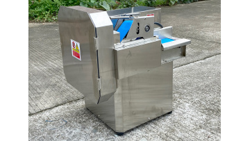 Q306 Green Onion Cutting Machine