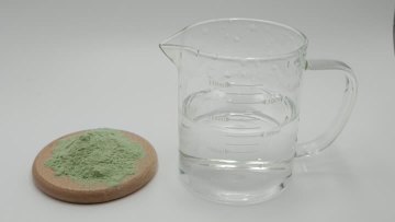 Kale extract powder