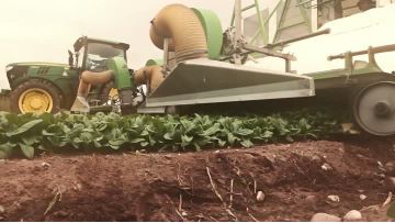 Ultra-high pressure sterilization of vegetable juice products