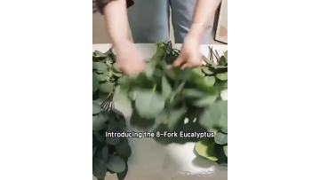 Eucalyptus Leaf and Money Leaf Greenery Wedding Bouquet1