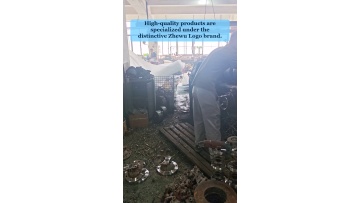Video 31