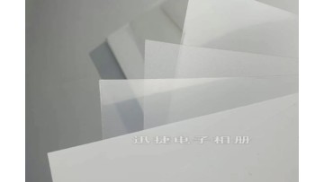 Transparent PP and white PP sheets for folder covers