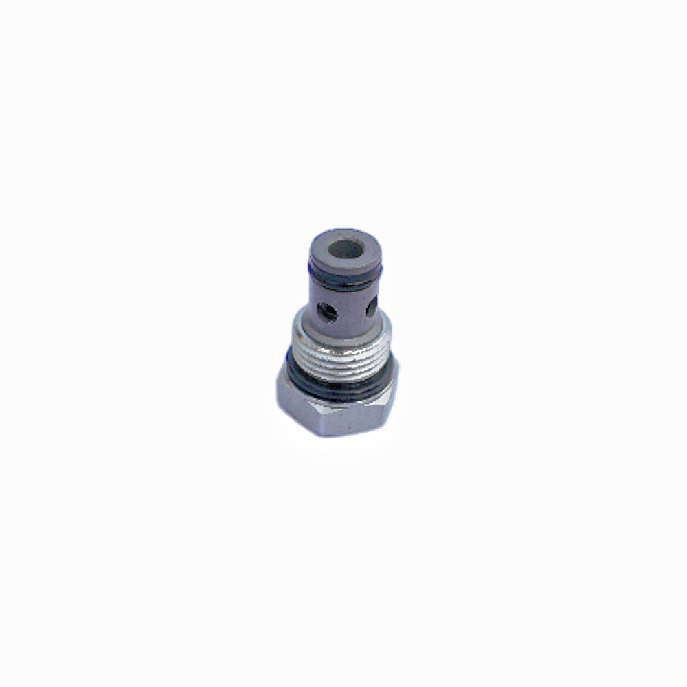 Check Valve