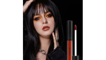 NO LOGO Private Label LOW MOQ Custom Your LOGO Long Lasting Waterproof Matt Lip Gloss Makeup Velvet Matte Liquid Lipstick1