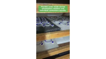 Video 12