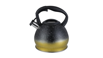 Stainless steel stove-top Whistling kettle FH-528BY