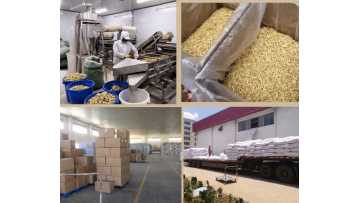 Produce Line