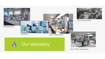 puyang ruidaxu's RDP powder, HPMC lab