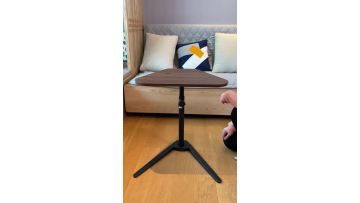 Sit Stand Mobile Desk.mp4
