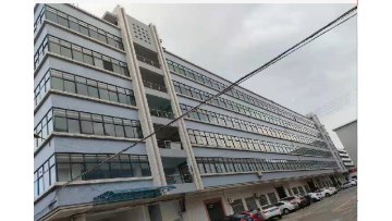 Company information
