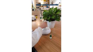 DT-2190 Aroma Diffuser: A Fusion of Elegance and Innovation