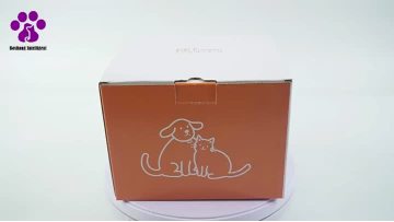 Pet water dispenser-FT100