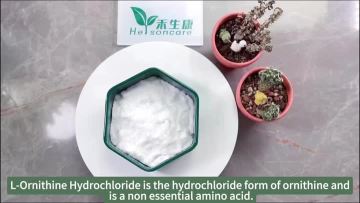 L-Ornithine Hydrochloride