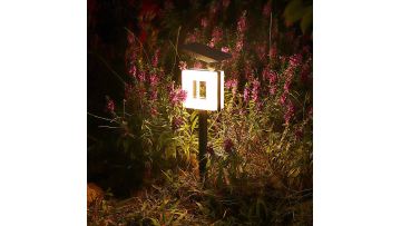 Solar Lawn Lamps Outdoor