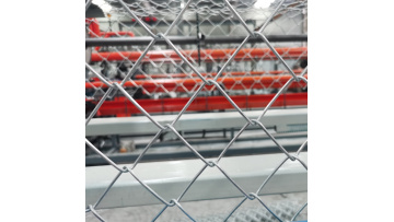 Chain Link fence