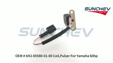 6H2-85580-01-00 Coil,Pulser 